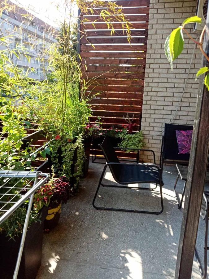 Dusica Apartmani Jagodina Exterior foto